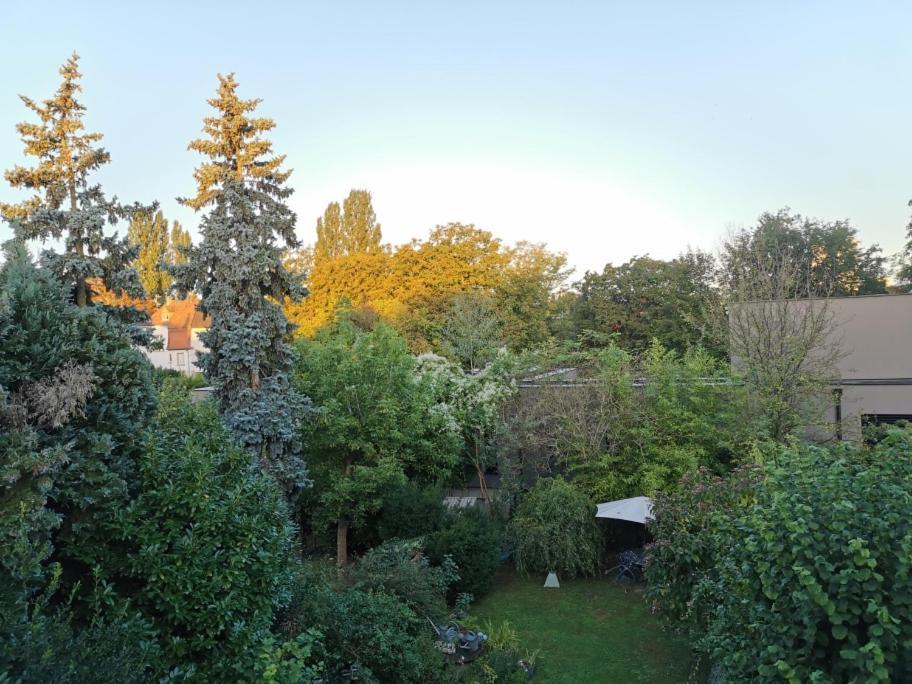 Ferienwohnung Petit Nid Straßburg Exterior foto